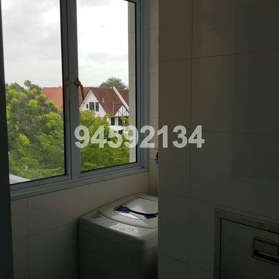 Palm Oasis (D15), Apartment #159458462